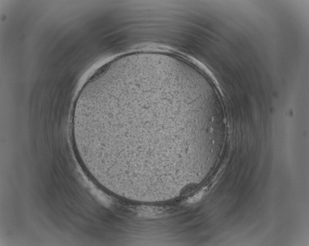 X0000081461379200702021756