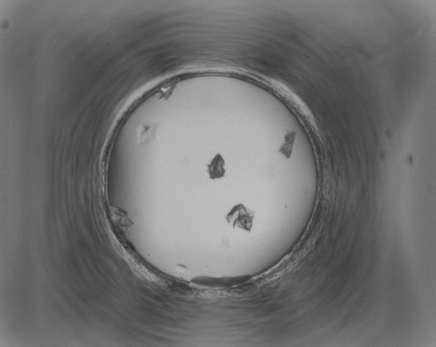 X0000081461380200702021756