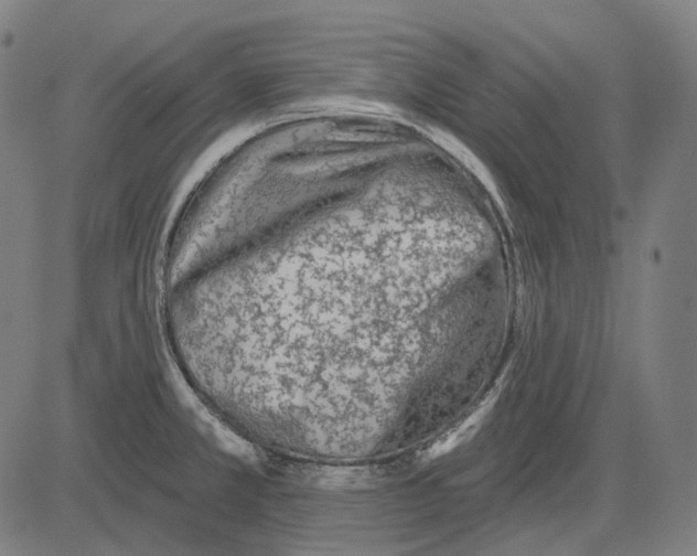 X0000081461381200702021756