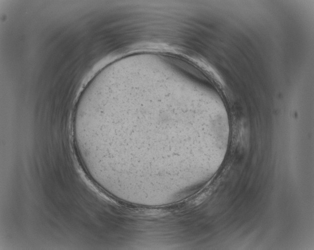 X0000081461382200702021756