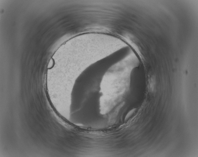 X0000081461383200702021756