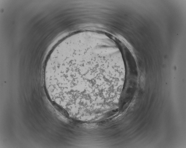 X0000081461384200702021756