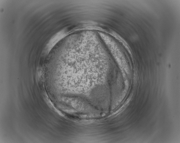 X0000081461385200702021756