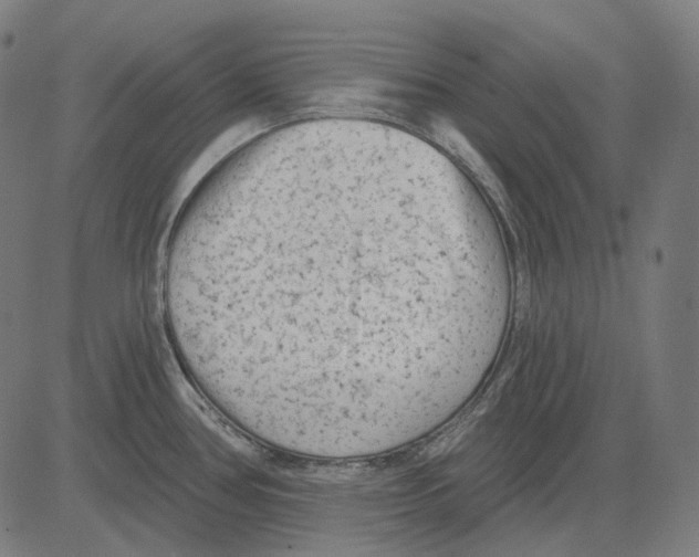 X0000081461386200702021756