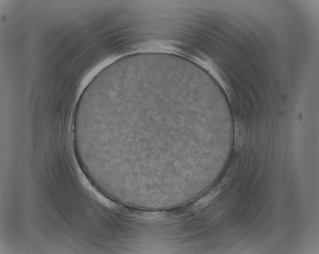 X0000081461387200702021756