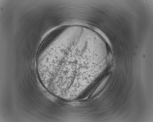 X0000081461388200702021756