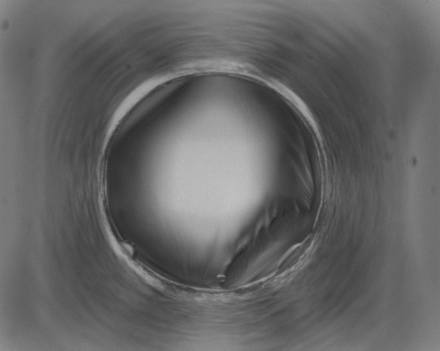 X0000081461389200702021756