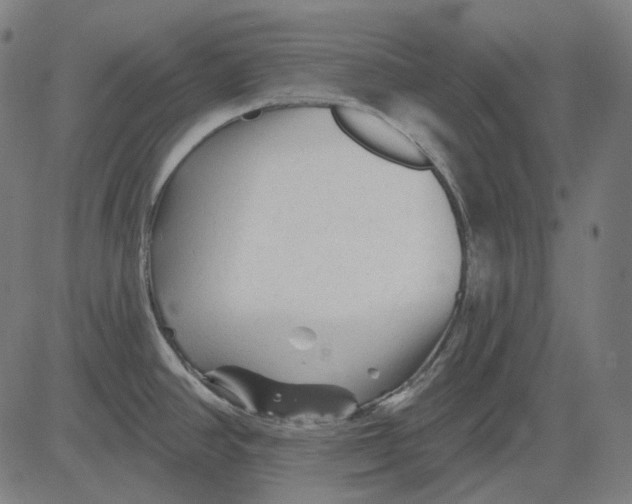 X0000081461390200702021756