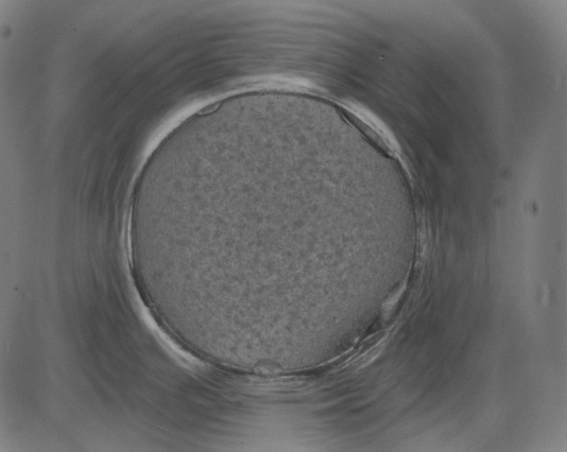 X0000081461391200702021756