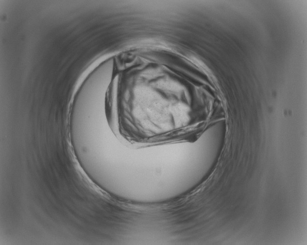 X0000081461392200702021756