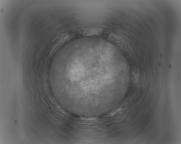 X0000081461393200702021756