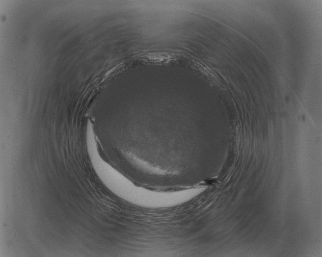 X0000081461394200702021756