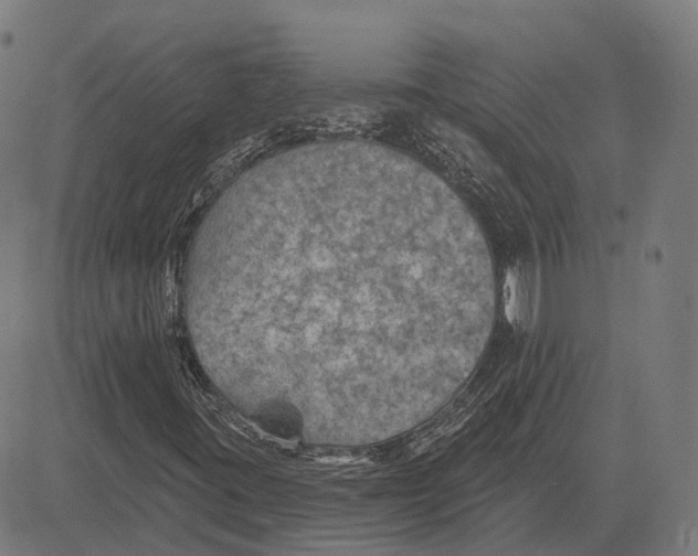 X0000081461395200702021756