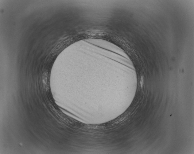 X0000081461396200702021756