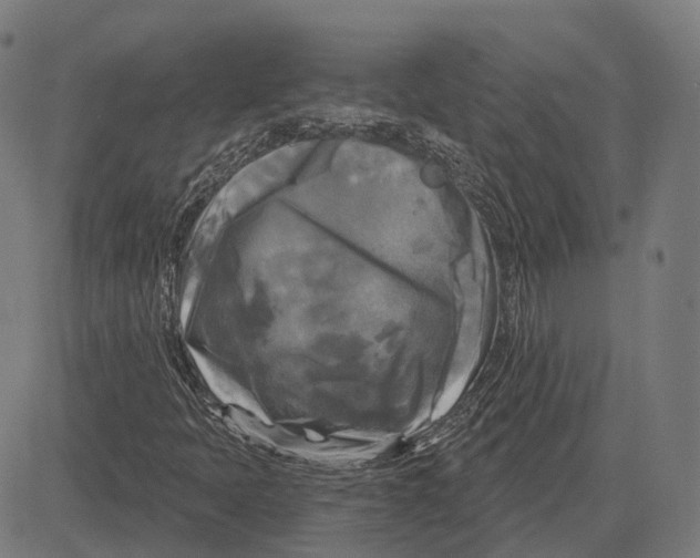 X0000081461397200702021756