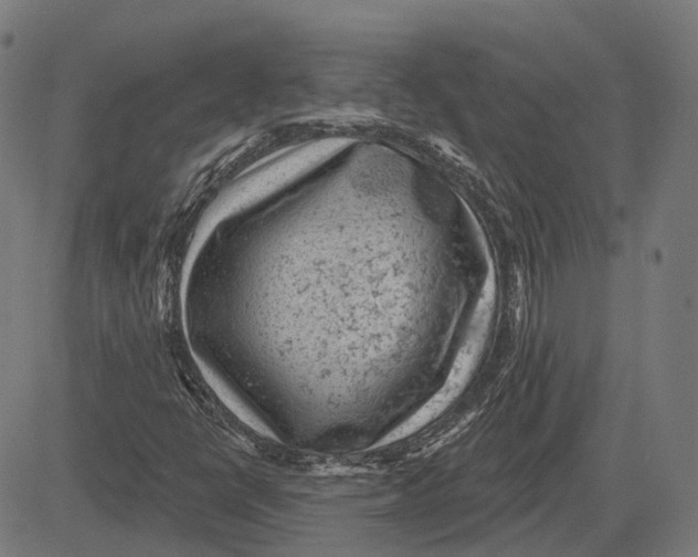 X0000081461398200702021756