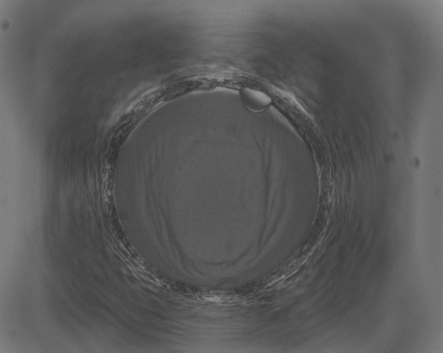 X0000081461399200702021756