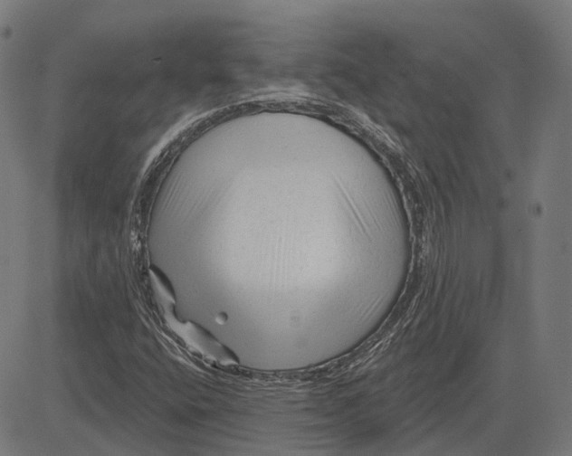 X0000081461400200702021756