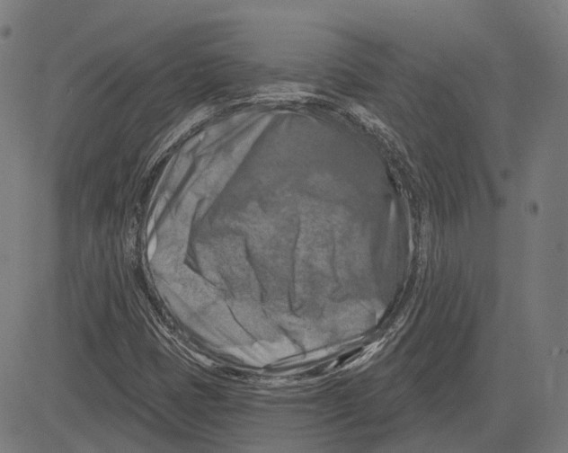 X0000081461401200702021756