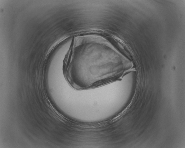 X0000081461402200702021756