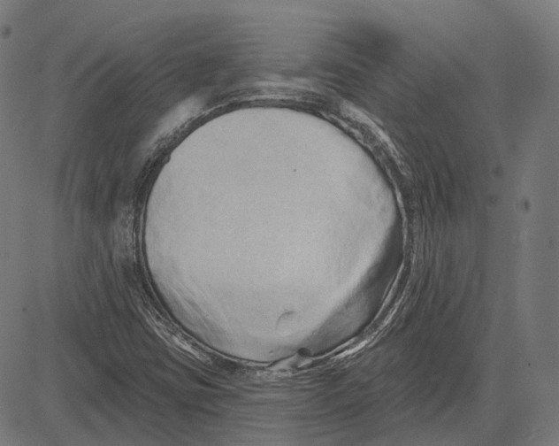 X0000081461403200702021756