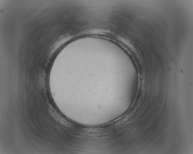 X0000081461404200702021756