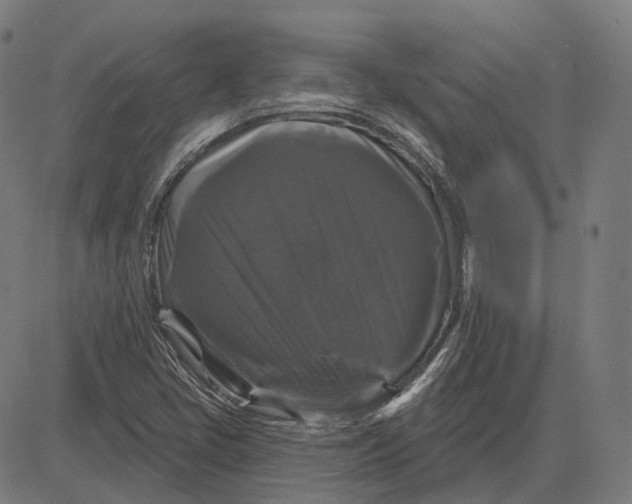 X0000081461405200702021756