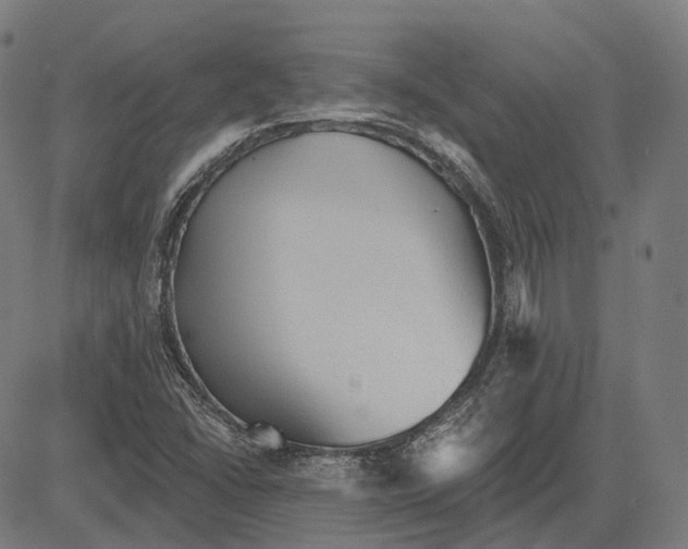 X0000081461406200702021756