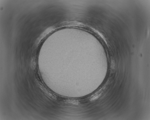 X0000081461407200702021756