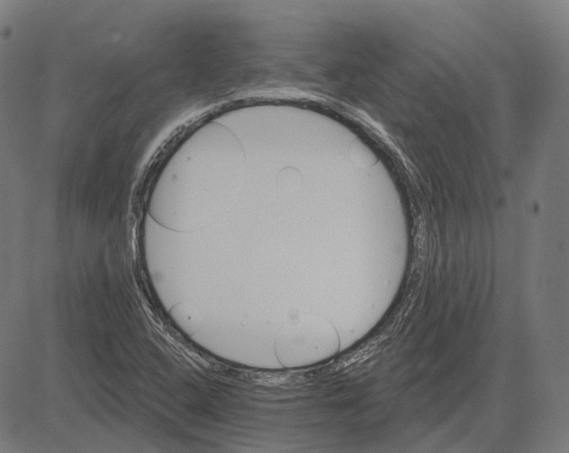 X0000081461408200702021756