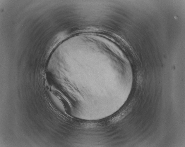 X0000081461409200702021756