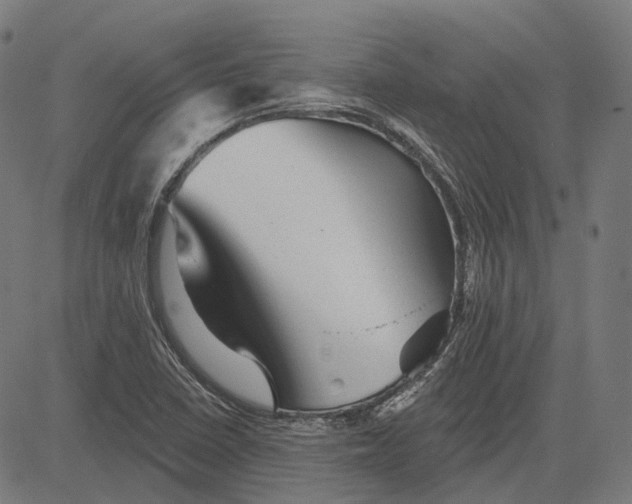 X0000081461410200702021756