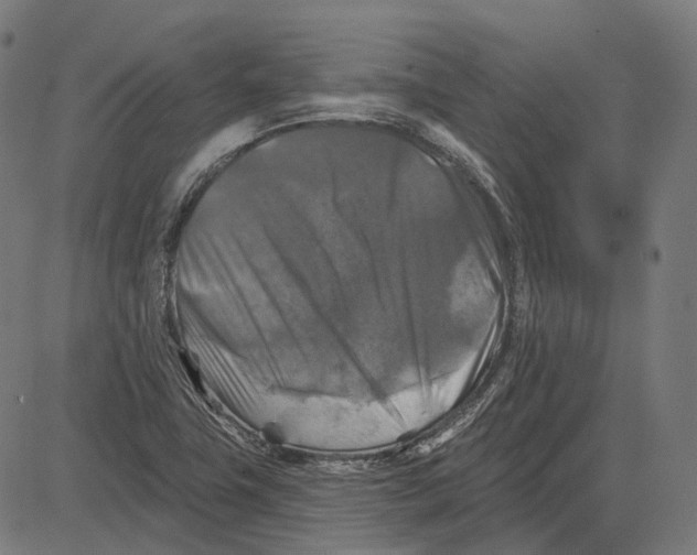 X0000081461411200702021756