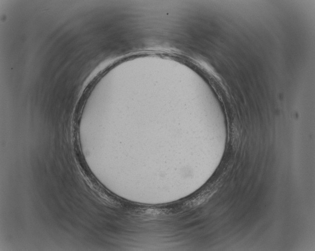 X0000081461412200702021756