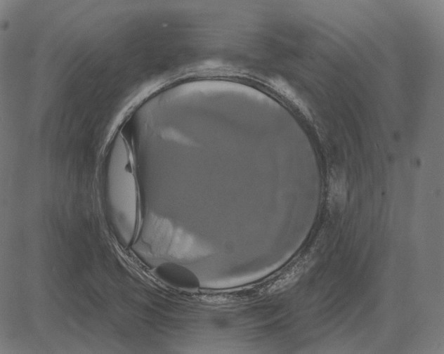 X0000081461413200702021756