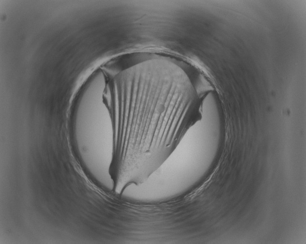 X0000081461414200702021756