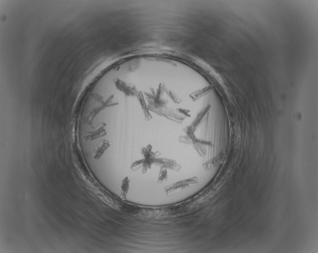 X0000081461415200702021756