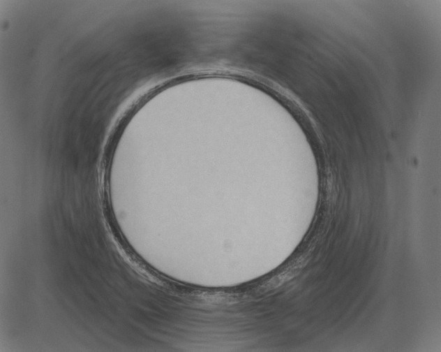 X0000081461416200702021756