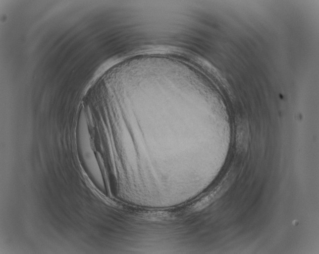 X0000081461417200702021756