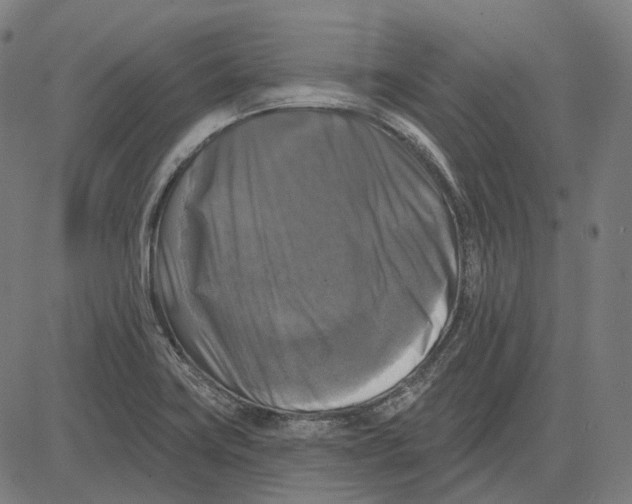 X0000081461419200702021756