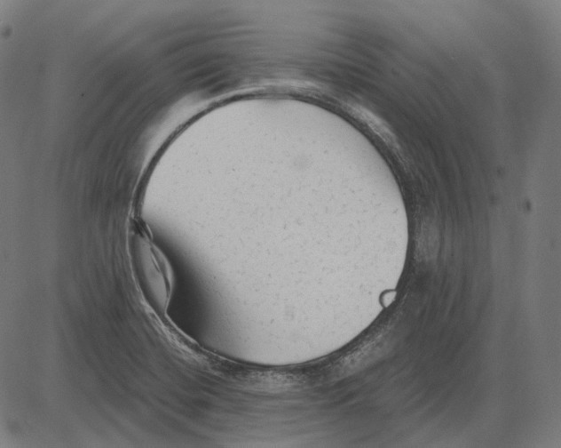 X0000081461420200702021756