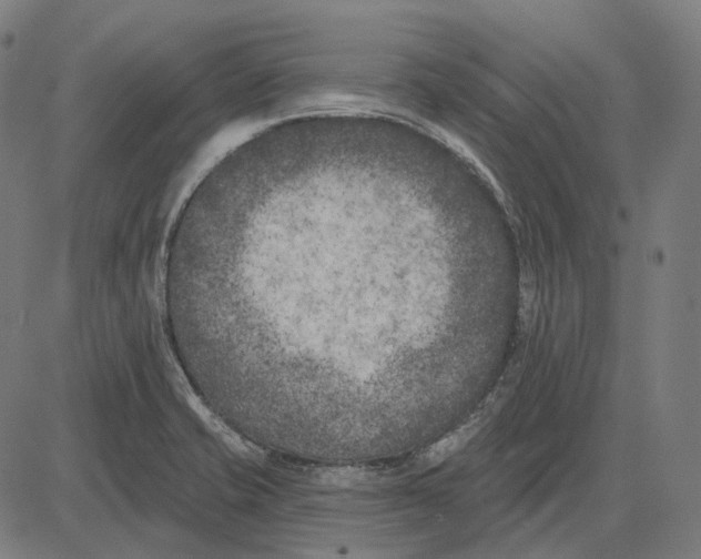 X0000081461421200702021756