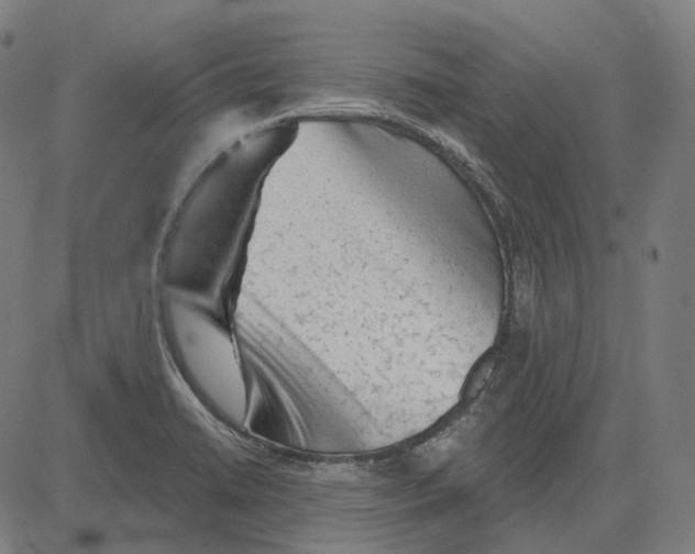 X0000081461422200702021756