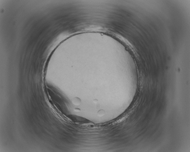 X0000081461423200702021756