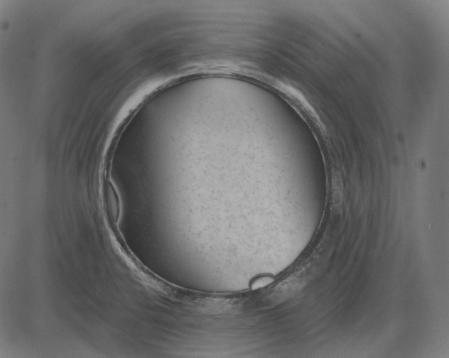 X0000081461424200702021756