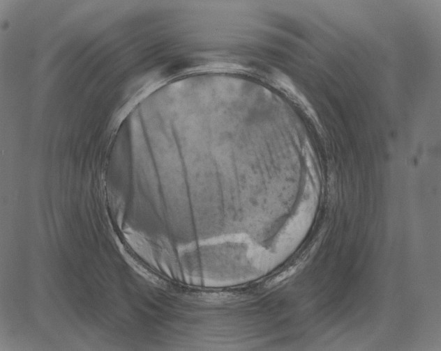 X0000081461425200702021756