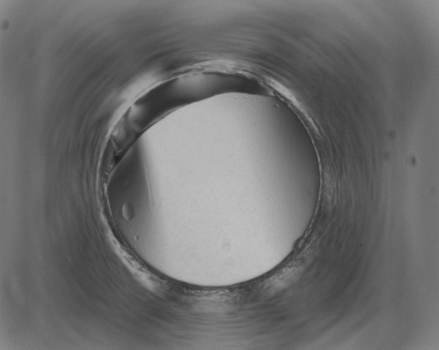 X0000081461426200702021756