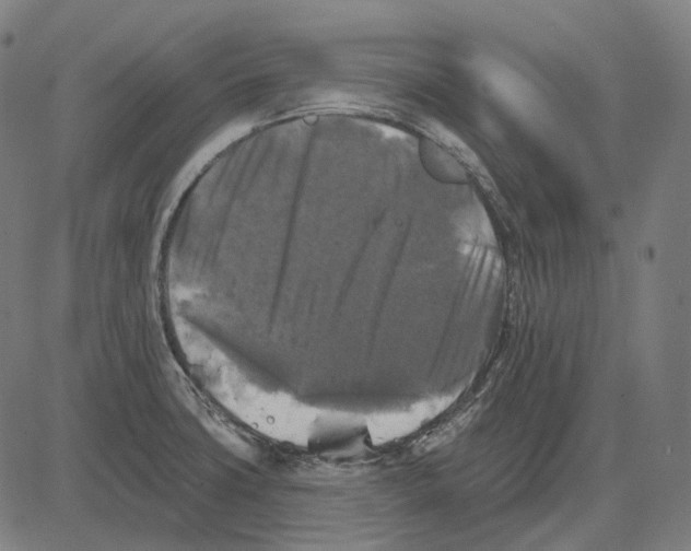 X0000081461427200702021756