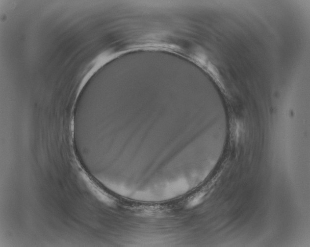 X0000081461428200702021756