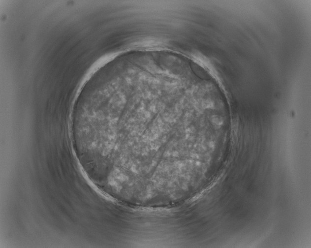 X0000081461429200702021756